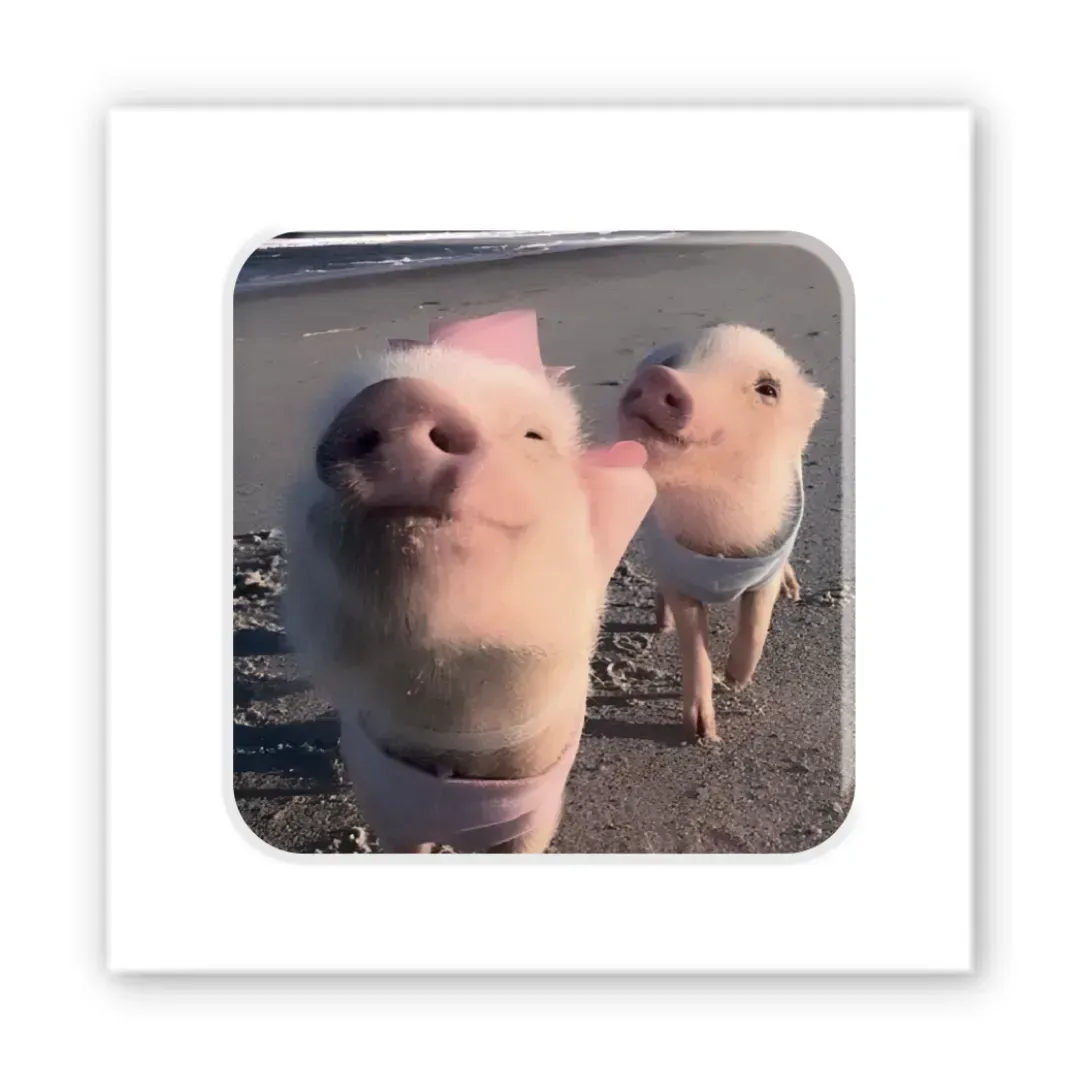 3D-стікер Piggy selfie Унісекс Україна SX-271